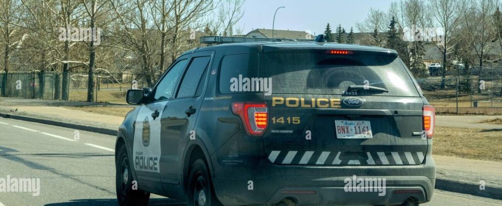 Calgary hit and run - police