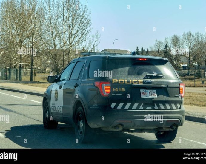 Calgary hit and run - police