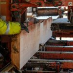 Canada unemployment rate - Workers at a Canadian lumber mill processing wood for export