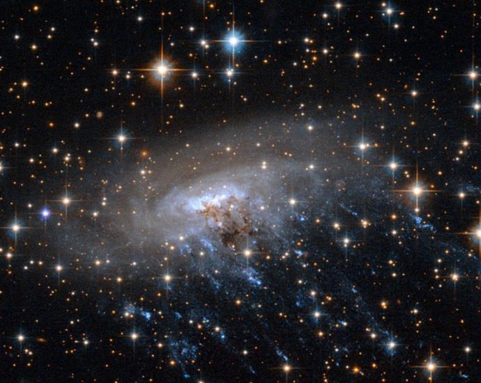 jellyfish galaxy JWST - Artist's impression of a jellyfish galaxy with gas tentacles being stripped away as observed by James Webb Space Telescope
