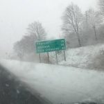 Niagara Region winds - Trees bending in strong winds during a windstorm