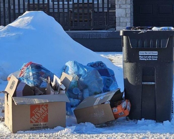 Peel recycling program - Multiple recycling and garbage bins showing the confusion residents face with new sorting rules