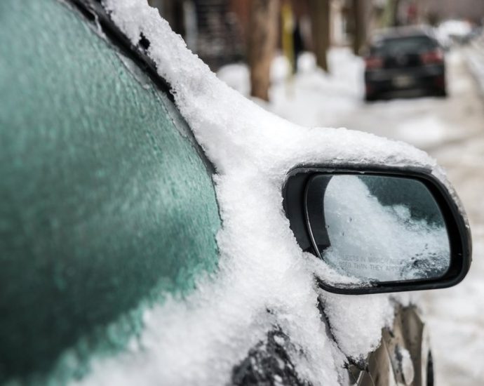 freezing rain warning - Ice-covered tree branches and power lines from freezing rain in Ontario