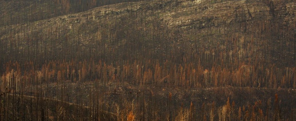 highest wildfire-risk city - A wildfire burning on a forested mountainside above homes near a lake in British Columbia
