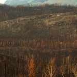 highest wildfire-risk city - A wildfire burning on a forested mountainside above homes near a lake in British Columbia