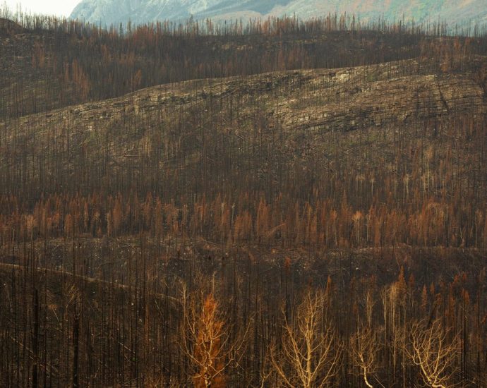 highest wildfire-risk city - A wildfire burning on a forested mountainside above homes near a lake in British Columbia